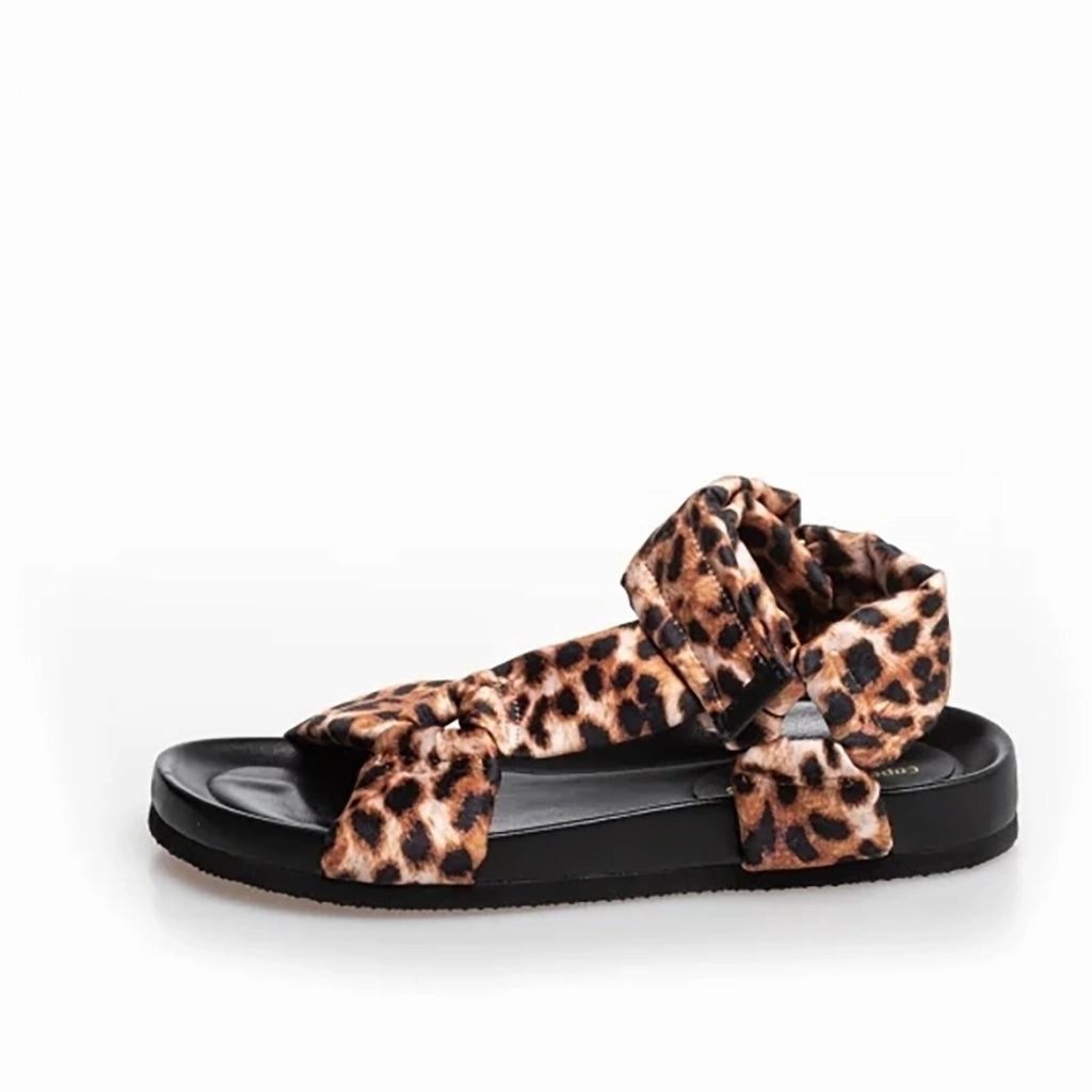 CARRIE - Brown leopard
