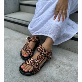 CARRIE - Brown leopard