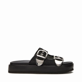 Glisten Slide BLACK MULTI