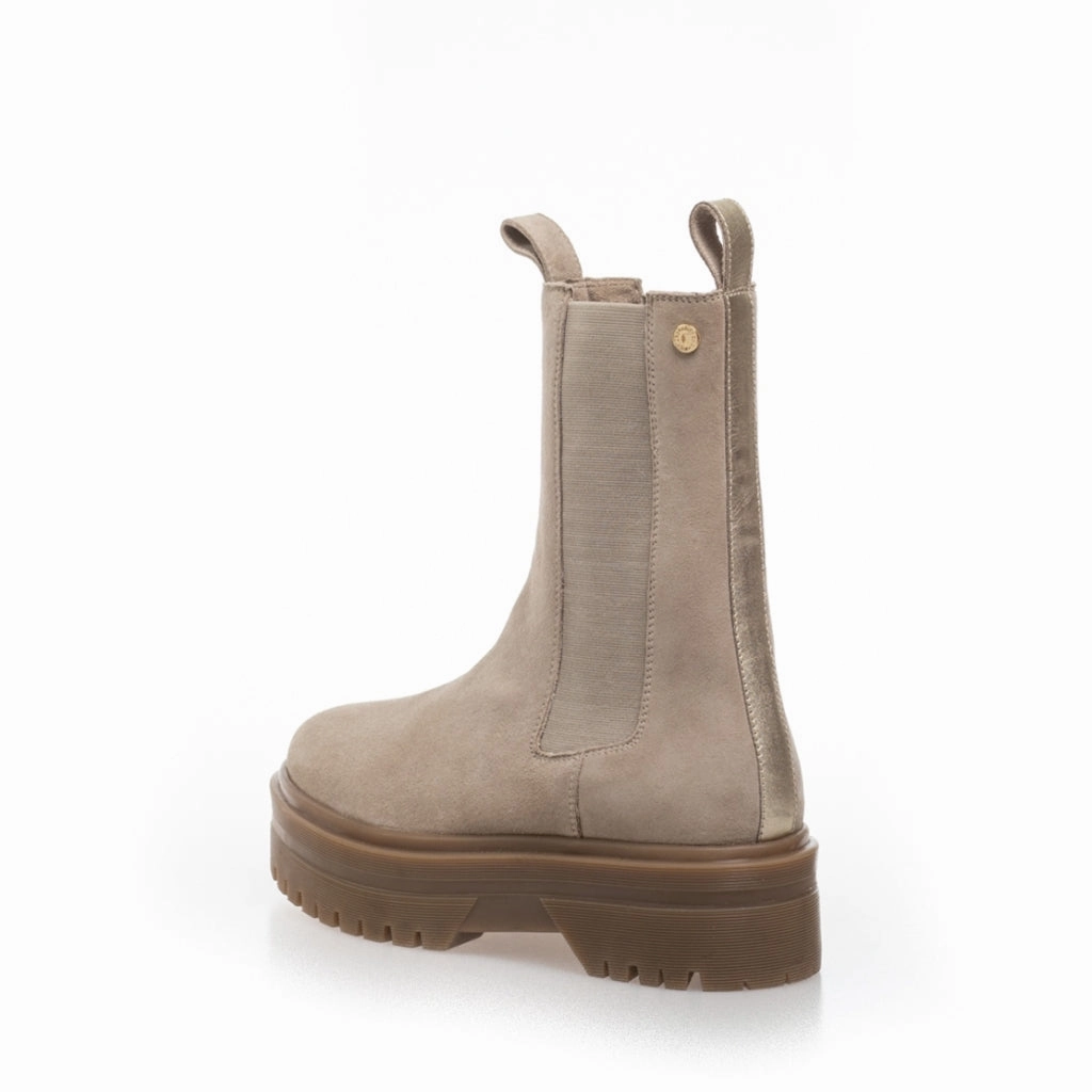 GOING SUEDE 22 - Beige suede