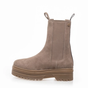 GOING SUEDE 22 - Taupe suede