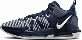 Nike Lebron Witness 7 (Team) Basketball Shoes (DZ3299-002, Wolf Grey/Wolf Grey/White)