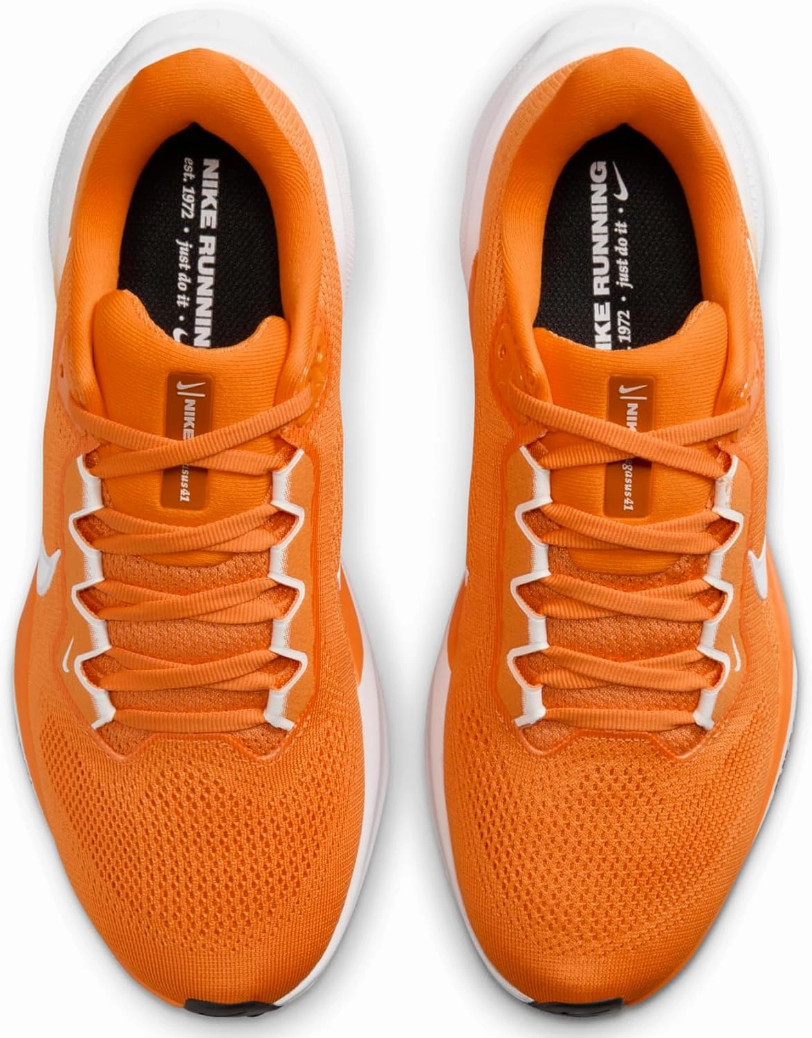 Nike W Air Zoom Pegasus 41 TB Women's Running Shoes