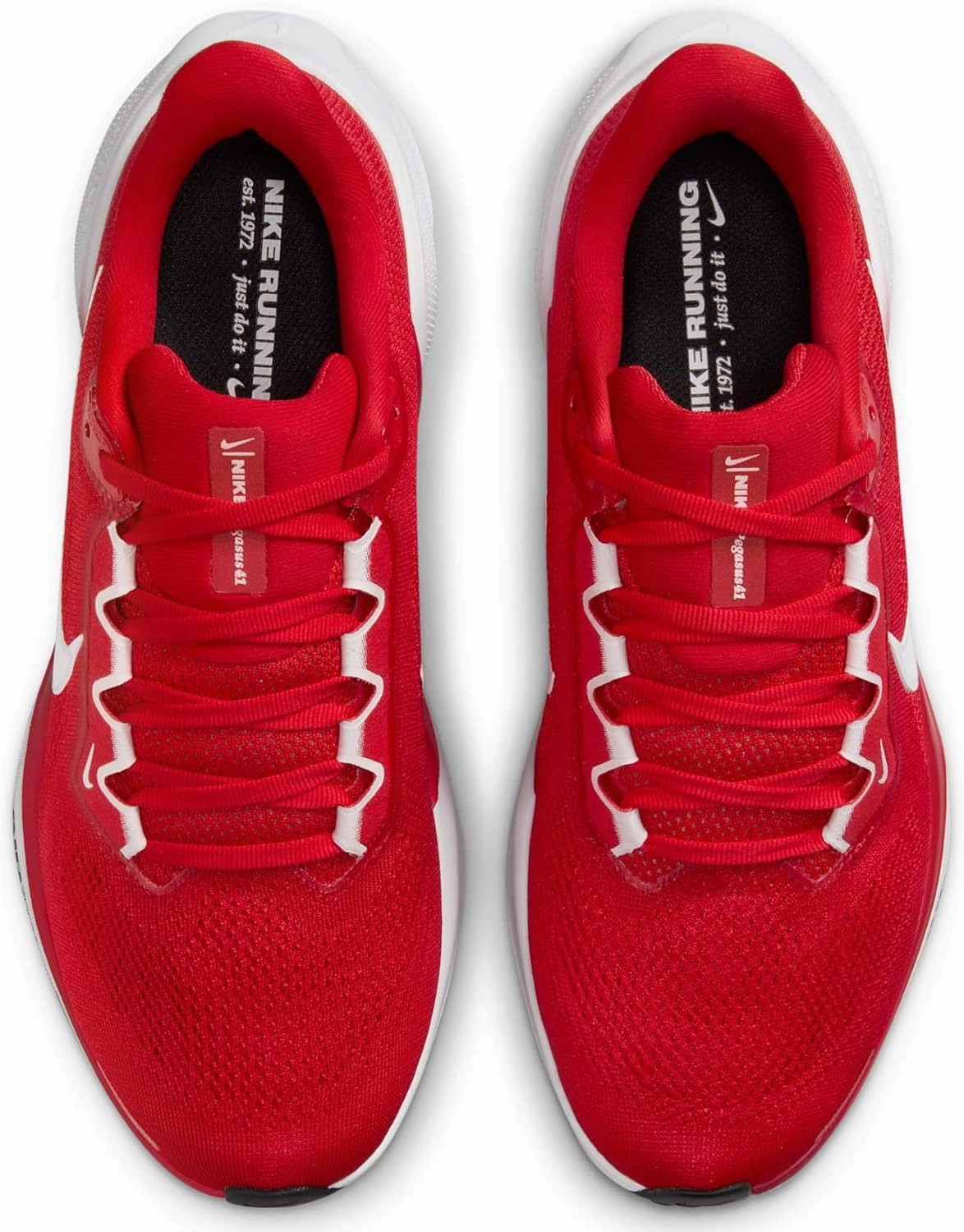 Nike W Air Zoom Pegasus 41 TB Women's Running Shoes
