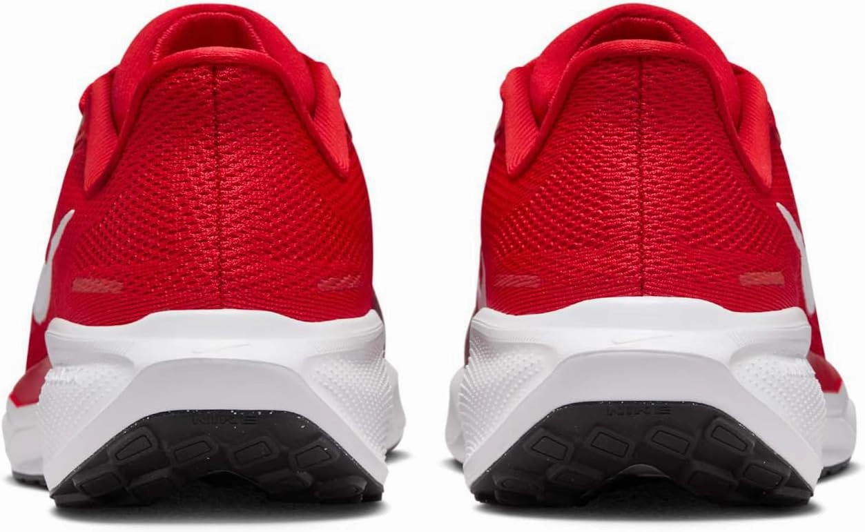 Nike W Air Zoom Pegasus 41 TB Women's Running Shoes