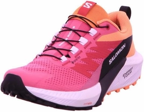 Salomon Sense Ride 5 GTX W Syrah/Vani Shoes