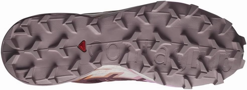 Salomon Women's Speedcross 6 Sneaker