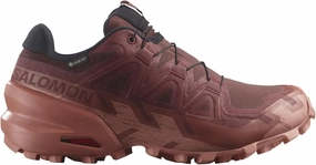 Salomon Women's XA Pro 3D Trail Running Shoe